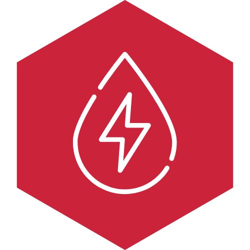 energy leadership workshop icon