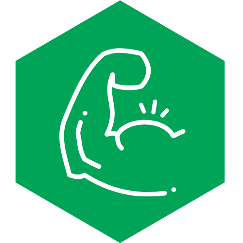 resilience workshop icon